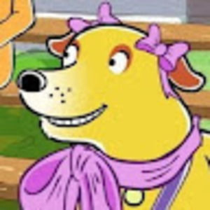 Meet your Posher, Tony